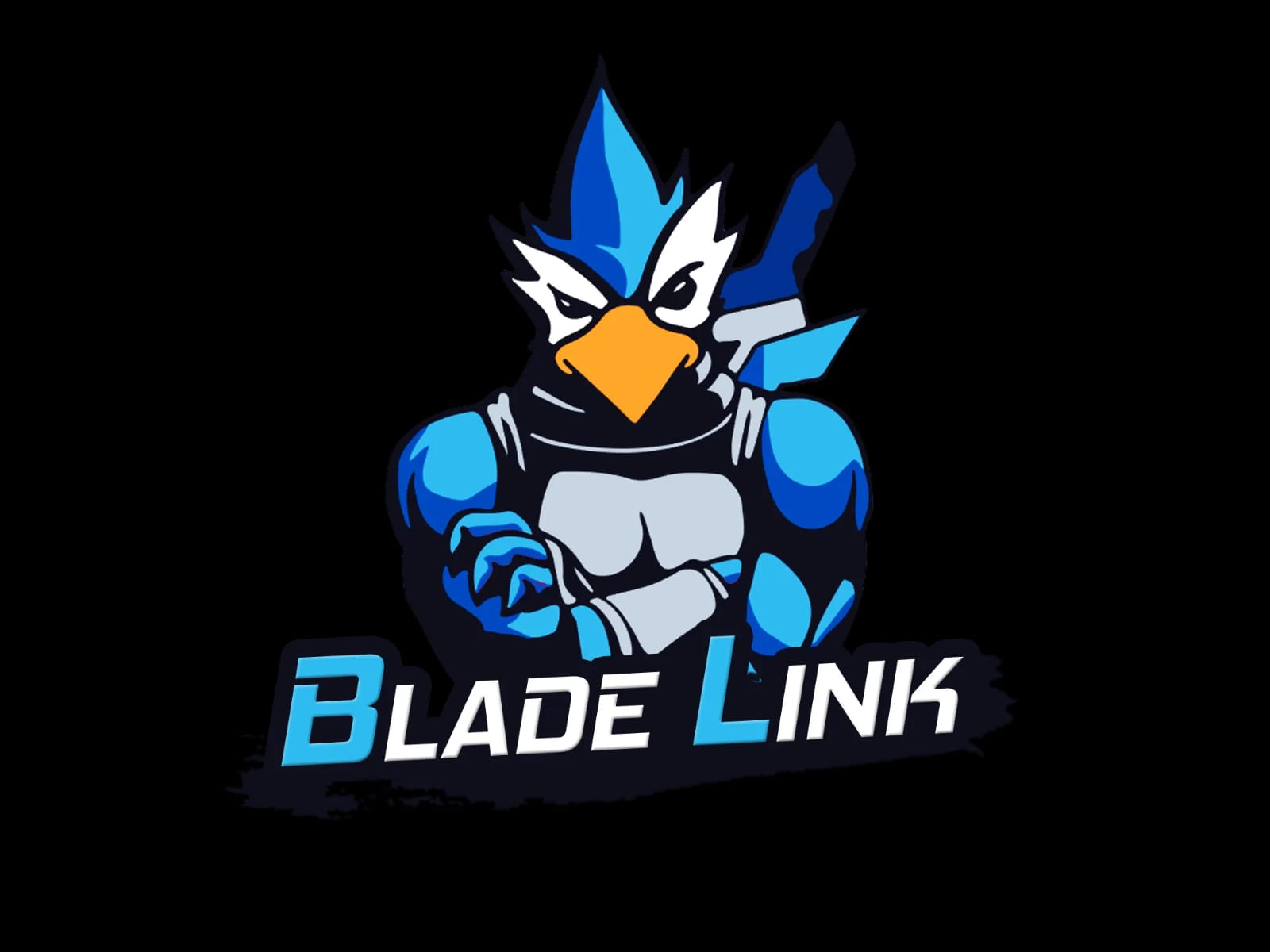 BladeLink